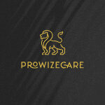 PROWIZECARE